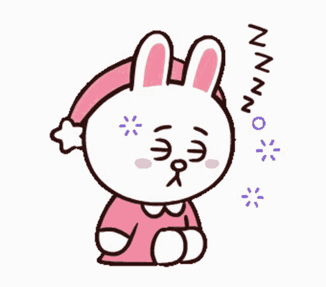 Cony the Bunny Sleeping Zzz