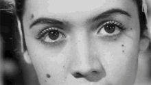 Facial Expressions Help Robots Communicate