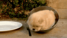GIF gi-upload ni Funnygirl