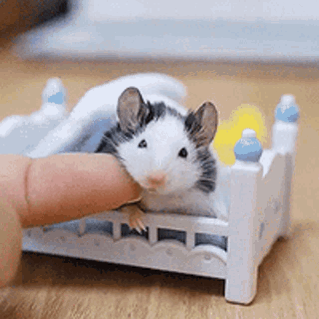 Lmouse in Miniature Bed