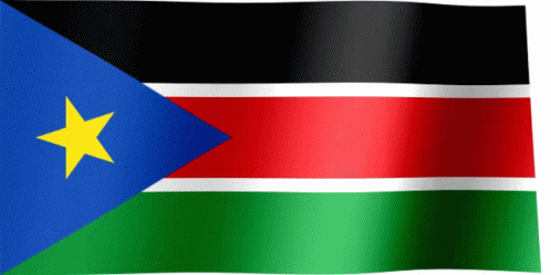 Waving Flag of South Sudan