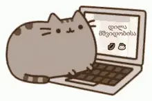 დილა მშვიდობისა