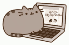 დილა მშვიდობისა