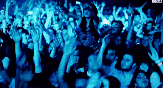 cTsEich1.gif 