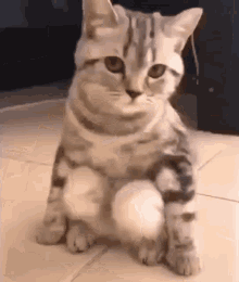 GIF na in-upload ni Denisa