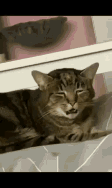 GIF