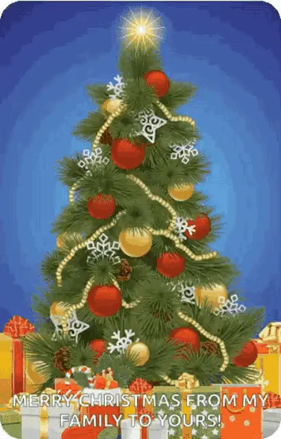 Merry Christmas & Happy Holidays Greeting