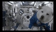 GIF