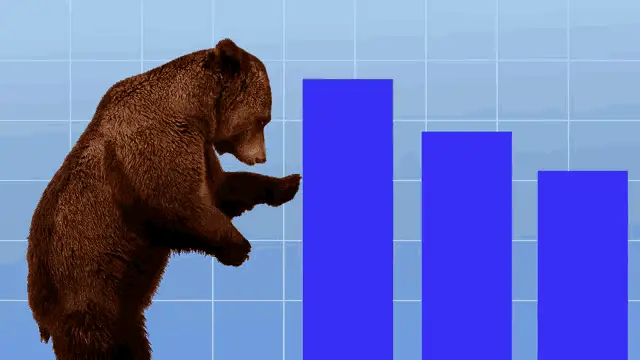 Stock Market Bear Market Trend