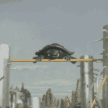 GIF