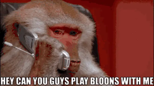 Monkey Asks to Play Bloons Tower Defense