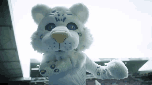 Lucas the Leeds United Mascot