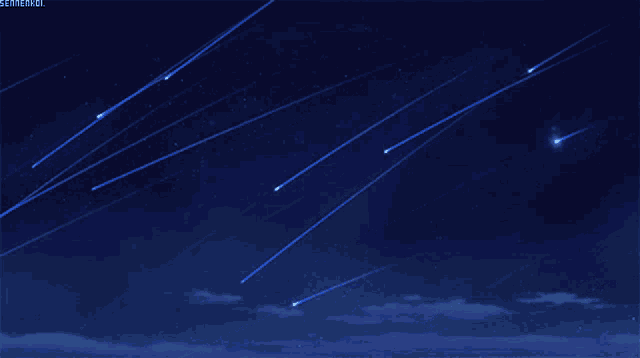 Rising Stars: Meteor Shower at Night