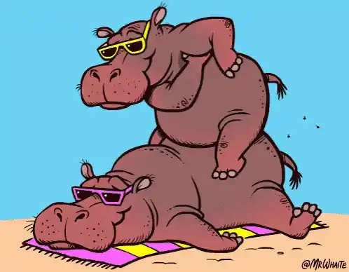 Cartoon Hippos Enjoying a Sunny Beach Day