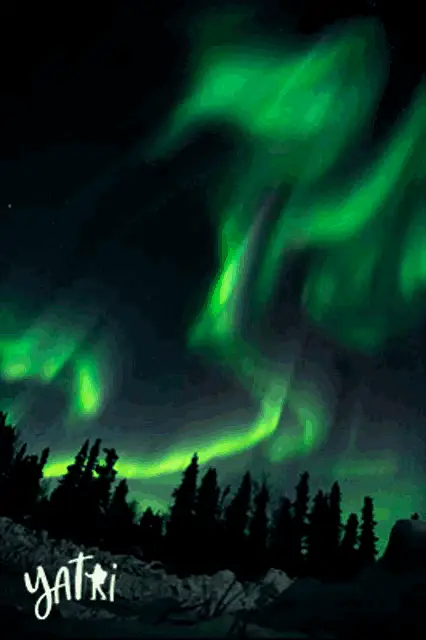 Stunning Northern Lights Display