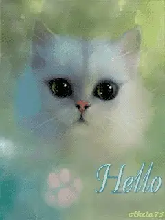 White Cat Says Hello with Expressive Eyes