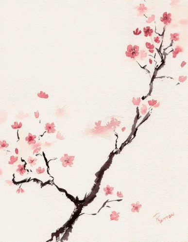 GIF 이미지