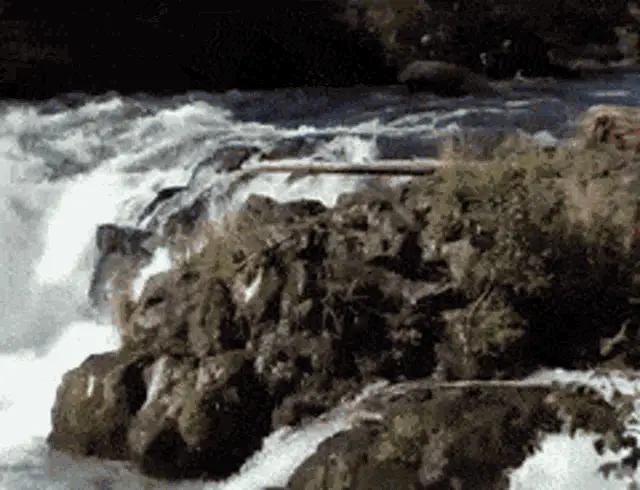 Rafting Down River Rapids - Go Ness