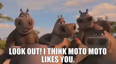 Moto Moto Likes You Meme