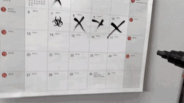 Young Rog Marks July 2020 Calendar
