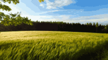 GIF gi-upload ni Funnygirl
