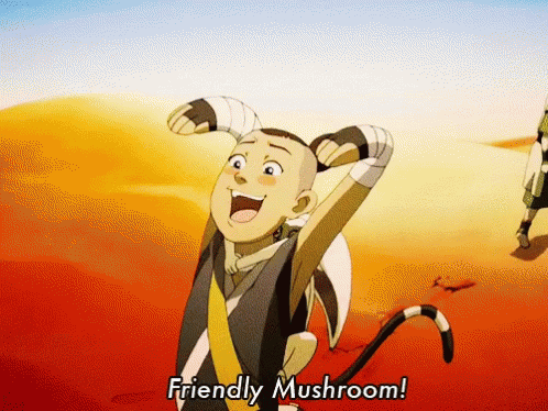 Sokka's Friendly Mushroom