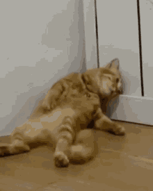 GIF uploaded by Zee