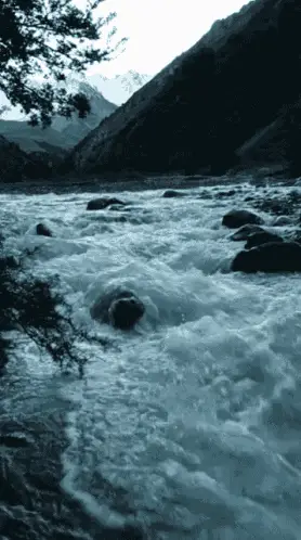 Rapid River Flow in Mountain Landscape