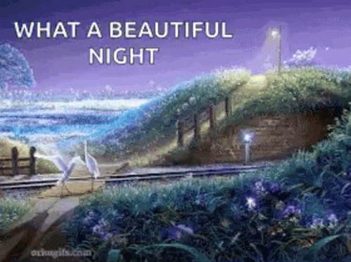 What A Beautiful Night Sparkle Animation