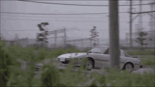 GIF загрузил Jeanna