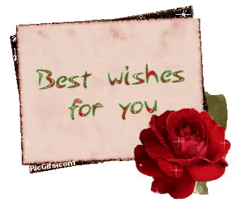 Best Wishes For You Rose Card
