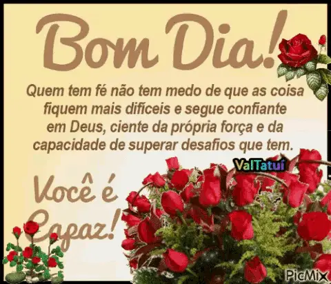 Bom Dia Good Morning: Inspirational Roses Message