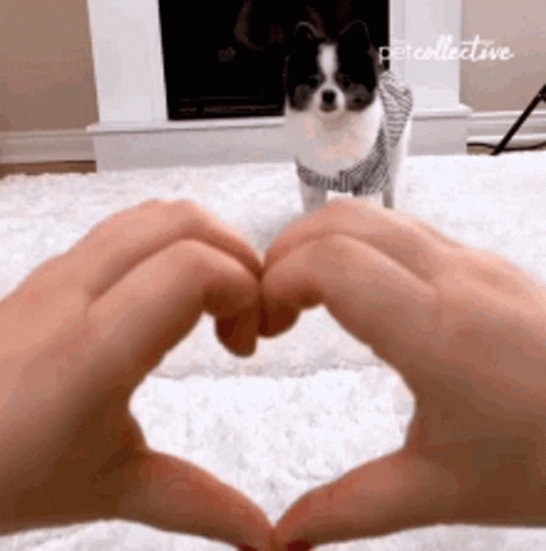 sanJ4WX7.gif