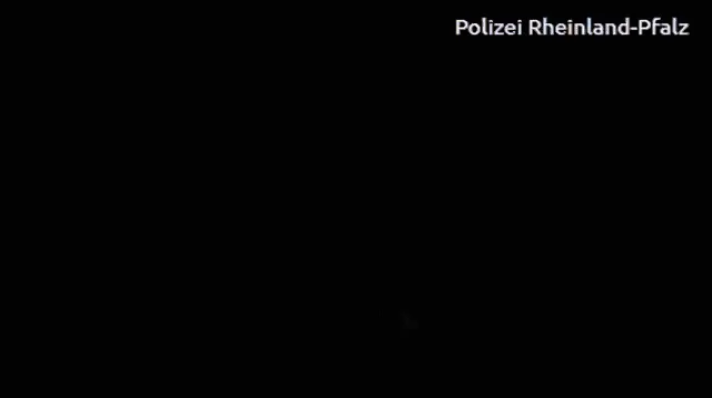 Polizei Rheinland-Pfalz Officer Taking Notes