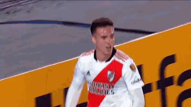 River Plate: Palavecino's passionate celebration
