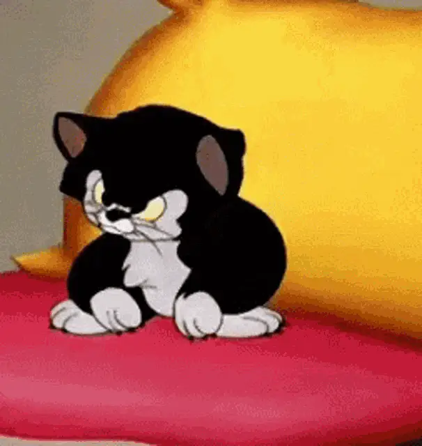 Mad Stubborn Cartoon Cat