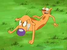Catdog Angry Tug-of-War