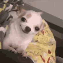 GIF enviado por Debs ;)