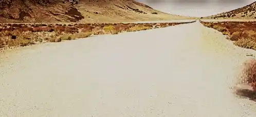 Steppenläufer Tumbleweed