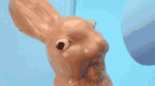 GIF įkėlė Craig