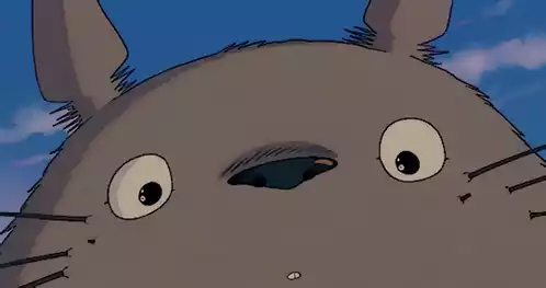 Totoro's Big Smile