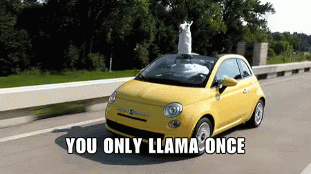 You Only Llama Once - YOLO Car