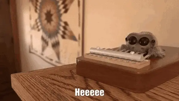 Lucas The Spider Plays Kalimba