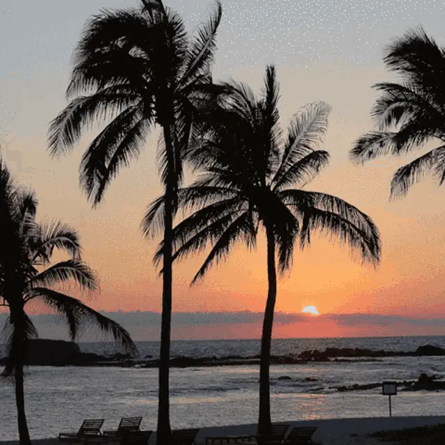 Romantic Sunset with Palm Trees
