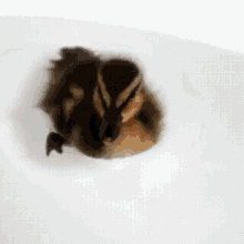 GIF uploaded by Alex