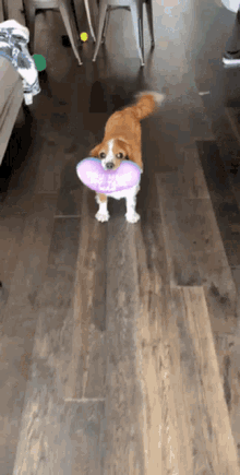 Cute Dog with 'You Make My Tail Wag' Heart Toy