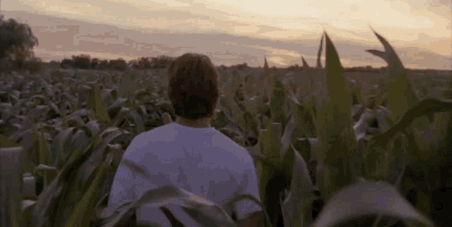 Field Of Dreams: If You Build It, They Will Come