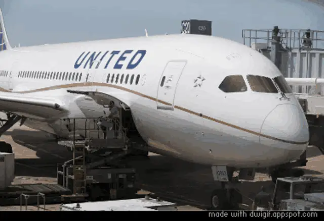 United Airlines Deal With It Meme Plane