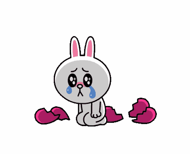 Cony Crying with Broken Hearts