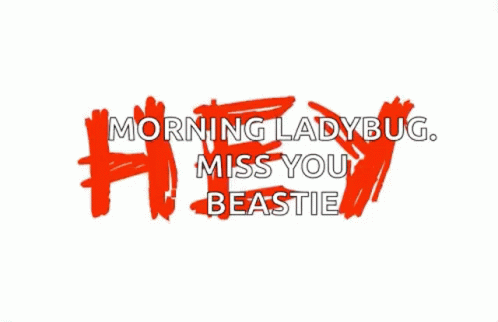 Morning Ladybug Miss You Beastie Animated Text